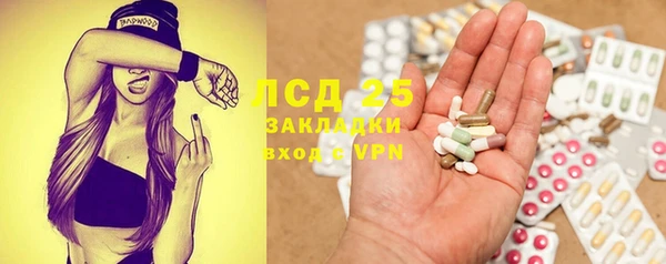 ПСИЛОЦИБИНОВЫЕ ГРИБЫ Краснослободск