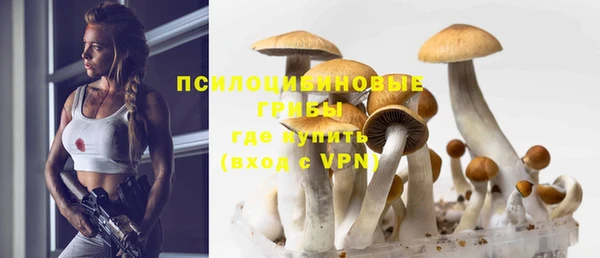 ПСИЛОЦИБИНОВЫЕ ГРИБЫ Краснослободск